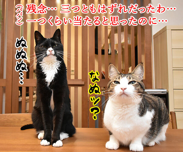 マルカワのマーブルガム 当たるのは誰かしら? ねこの写真で4コマ漫画 3コマ目ッ