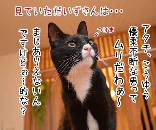 こっちにおいで あずきさんとだいずさん Powered By ライブドアブログ こっちにおいで あずきさんとだいずさん Powered By ライブドアブログ