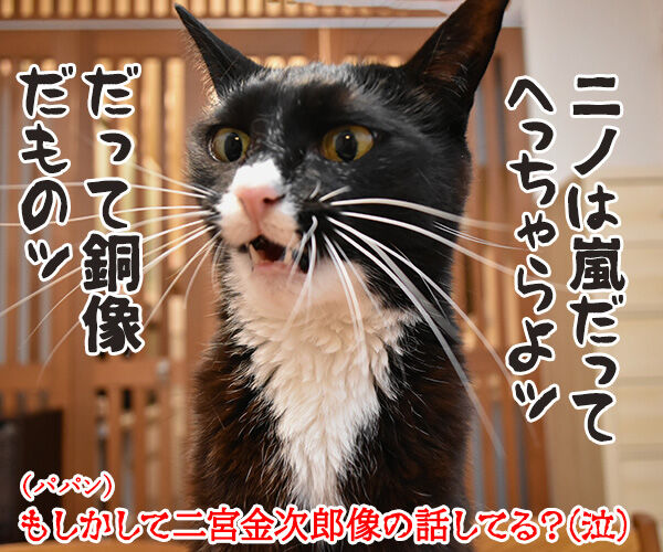 嵐の二宮くんが結婚して「ニノロス」なのッ 猫の写真で4コマ漫画 4コマ目ッ