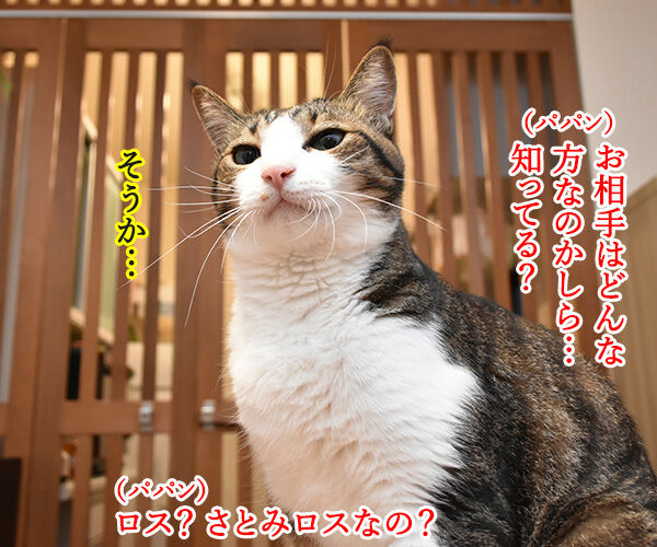石原さとみさん ご結婚オメデトゴザマース あずきさんとだいずさん Powered By ライブドアブログ 石原さとみさん ご結婚オメデトゴザマース あずきさんとだいずさん Powered By ライブドアブログ