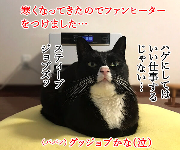                  :             Powered 