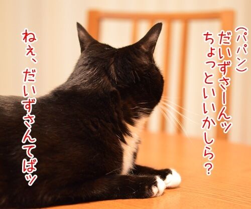 きょうは何の日? 猫の写真で4コマ漫画 3コマ目ッ