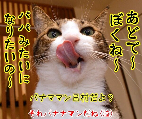 パナマ文書に載ってる日本人の名前は？　猫の写真で４コマ漫画　４コマ目ッ