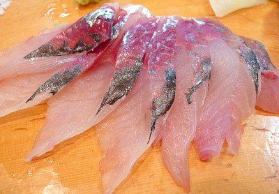 黒鯵