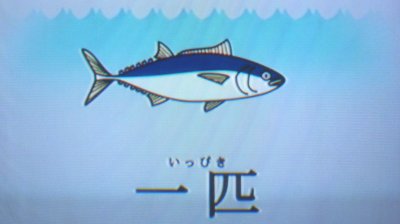 マグロ