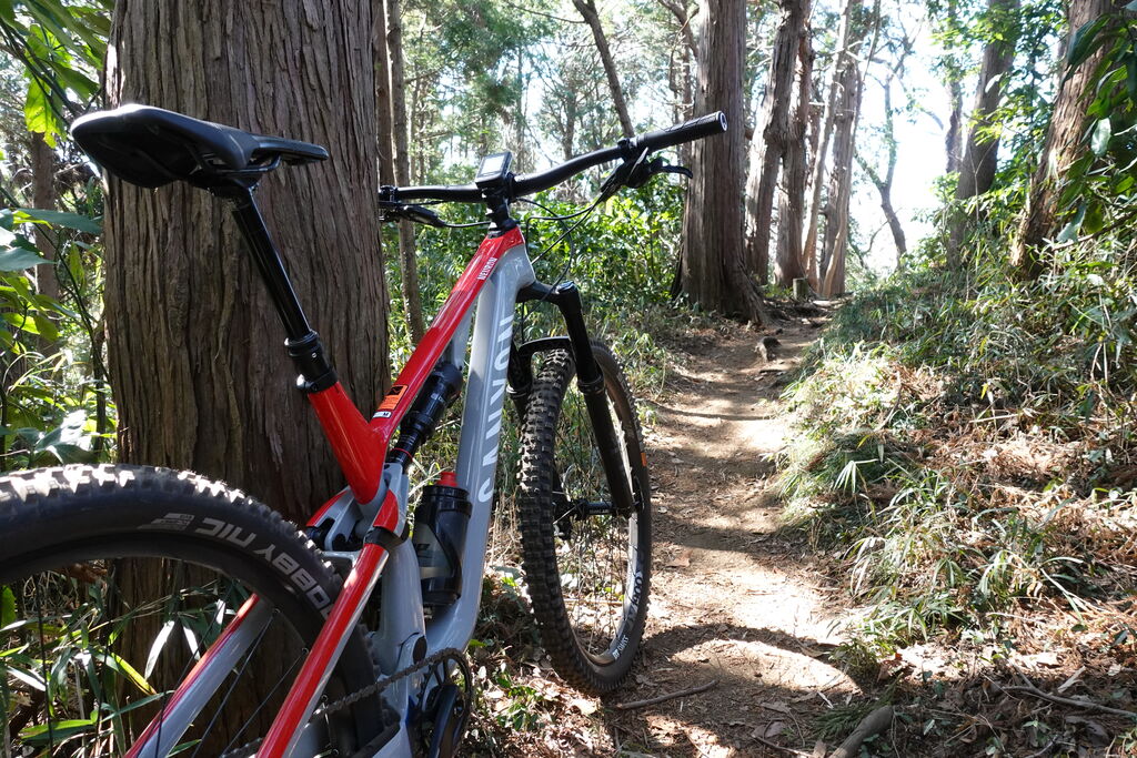 Canyon Neuron CF を買いました(開梱・写真編) : ダジャレライダー Canyon Neuron CF を買いました(開梱・写真編) : ダジャレライダー