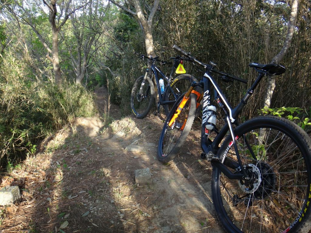 canyon lux cf slx 9.0 race team