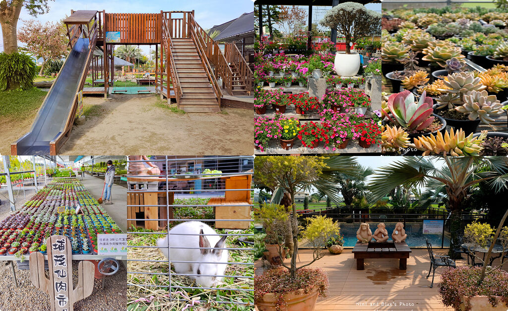 彰化芬園貓羅溪、台中烏日堤防旁牛群,台灣版的非洲草原動物大遷徙,台中景點推薦