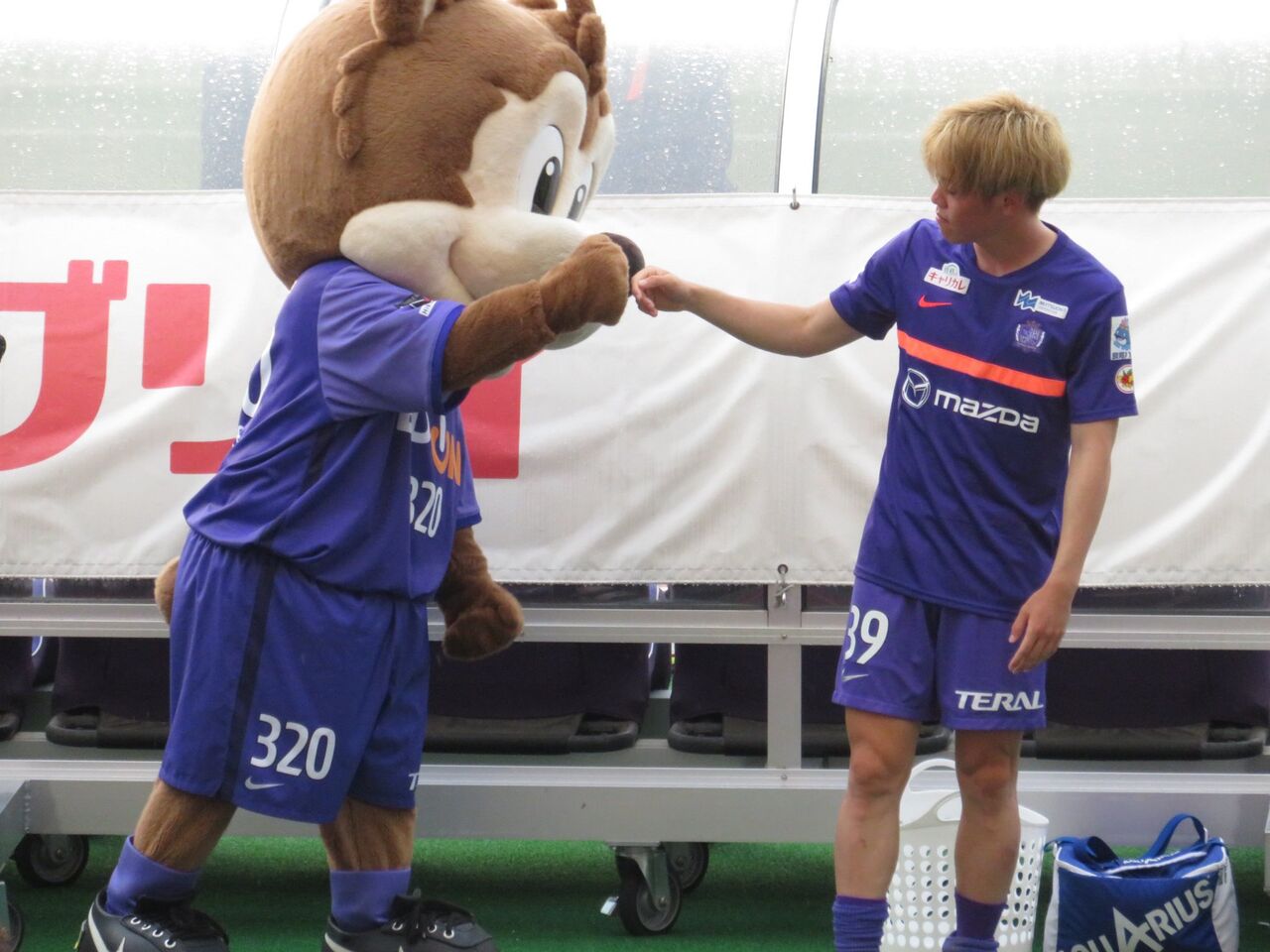 サンフレッチェ広島　野津田選手サイン入りスパイク サンフレッチェ広島野津田選手サイン入りスパイク