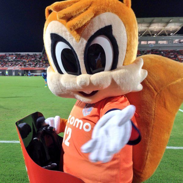 ミーヤはアルディのどこに惚れたのか jリーグマスコットのことばかり考えるブログ ミーヤはアルディのどこに惚れたのか jリーグマスコットのことばかり考えるブログ