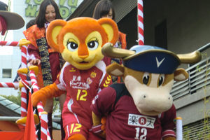 なでしこリーグのマスコットたち １ ｊリーグマスコットのことばかり考えるブログ