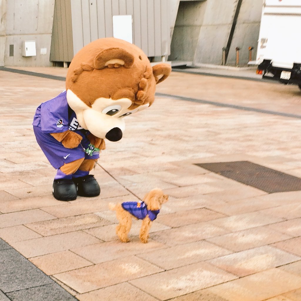 Jリーグマスコットのことばかり考えるブログ(旧館)サンチェ
サンチェは犬が飼いたい
コメント だじゅうる