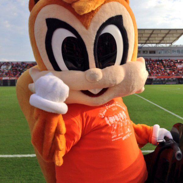 ミーヤはアルディのどこに惚れたのか jリーグマスコットのことばかり考えるブログ ミーヤはアルディのどこに惚れたのか jリーグマスコットのことばかり考えるブログ