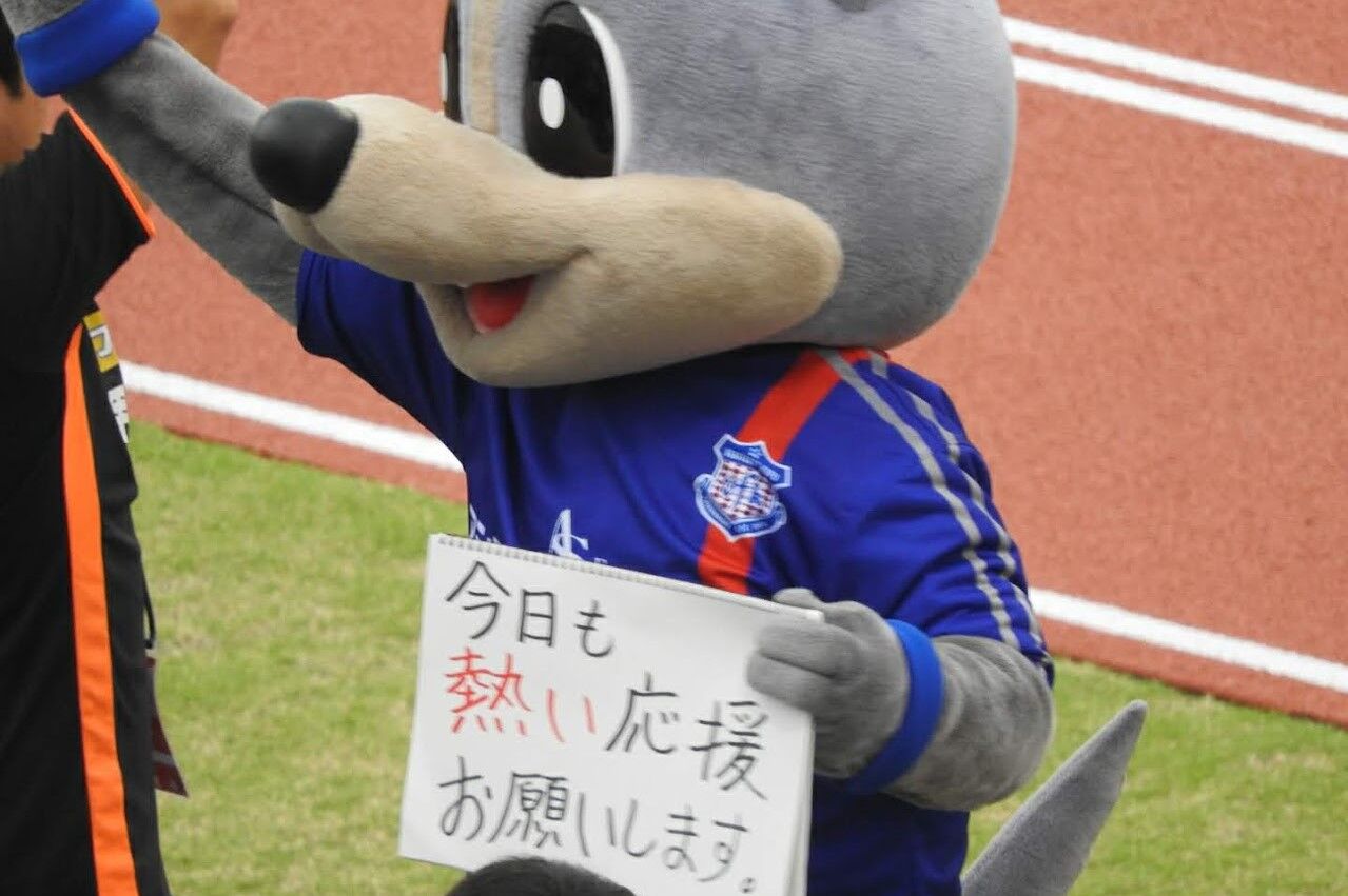 スポーツチームのマスコットは 苦楽を共にする仲間でもある ｊリーグマスコットのことばかり考えるブログ