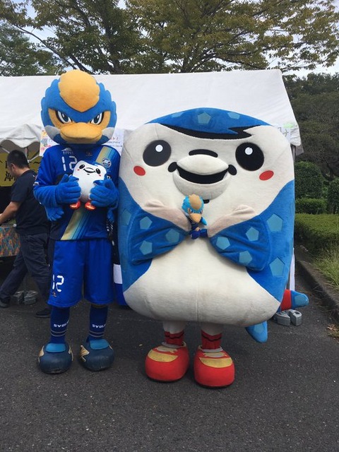 会いに来たジンベーニョと 会いたかったゼルビー ｊリーグマスコットのことばかり考えるブログ
