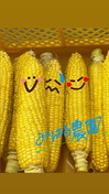 6D12CED4-E738-4384-BCF5-BD1AD2BB5935