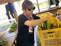 きみ写真