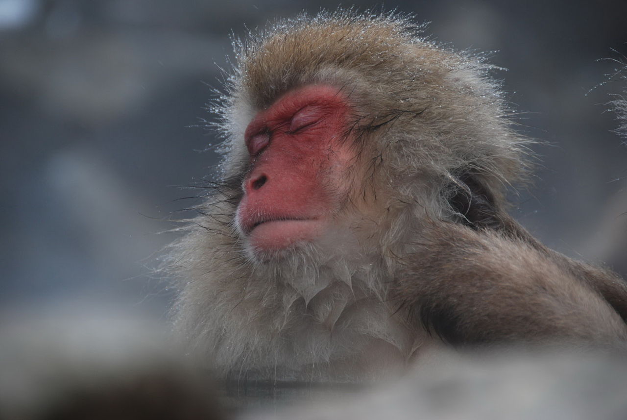 千葉 船橋市の日帰り入浴施設でレジオネラ菌感染 男性死亡 春夏秋冬ニュース