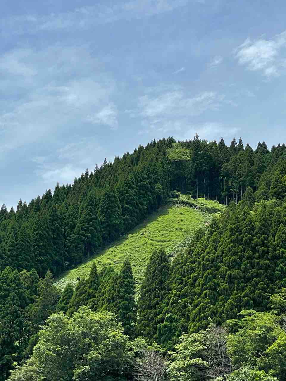 望遠を試す 人が人を呼ぶ 望遠を試す 人が人を呼ぶ