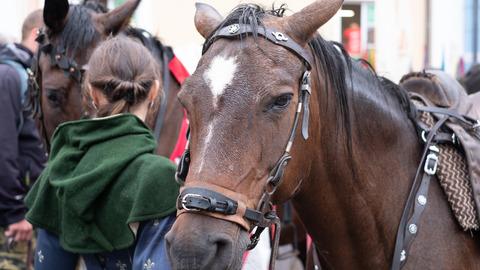 MIYAZAKI19116796_TP_V