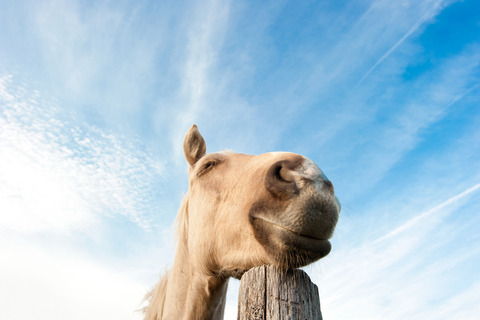 iStock-124572864