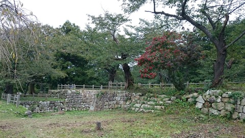 [画像:268f2d5c-s.jpg]