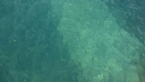 [画像:45247064-s.jpg]