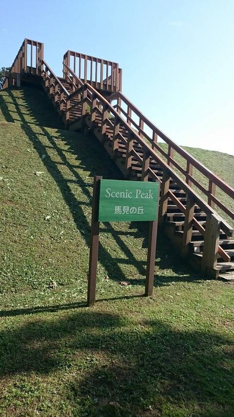 [画像:4d62c7b6-s.jpg]