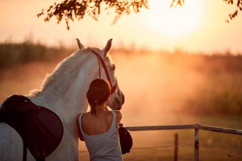 iStock-1308721709