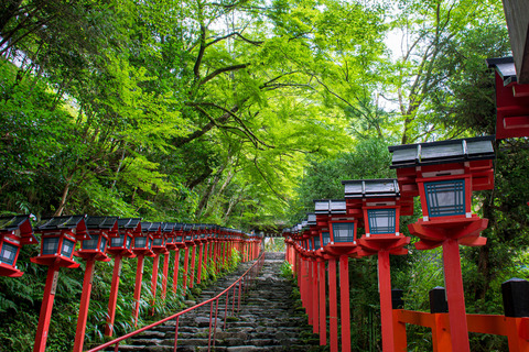 kyotoDSC_63480179_TP_V