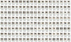 ꡼󥷥å 2024-12-28 1027335