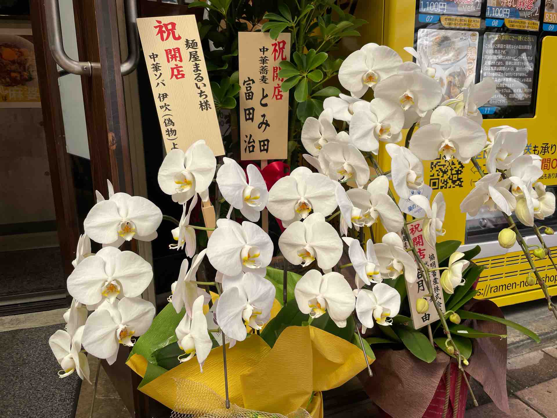 No11 プロデュース 浅草の 麺屋 まるいち にて 汁なし麻婆まぜそば Dales Mivisのラーメン 一人飲みなど