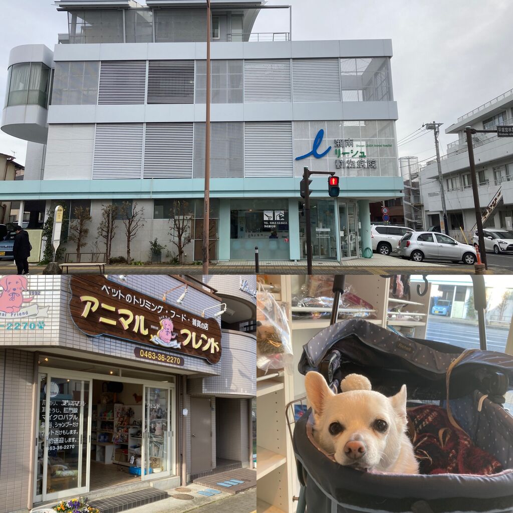 5A1A1360-C767-47F2-97A5-4D170AAAF4BB