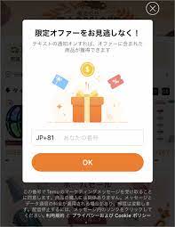 Temu怪しい3