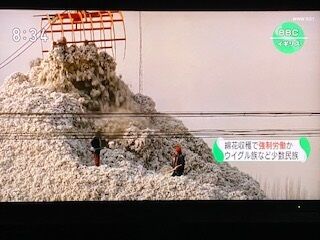 ウイグル人 綿花の収穫を強制労働 思想教育も 中国人工場長 怠惰な者に働く喜びを教えている イギリスbbc テレビにだまされないぞぉ