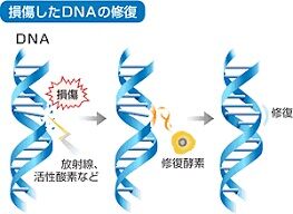 トリチウム