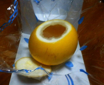 まるごとゼリー。