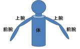 人体の力学