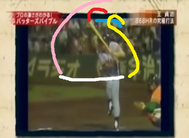 王貞治のスイング全体像(色わけ)