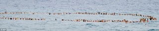 130 surfers took part in a service to remember ANDY IRONS