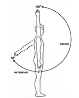 shoulder rotation