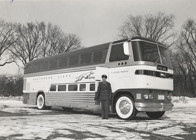 1950年代のグレイハウンド