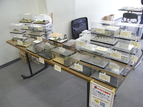 RIMG0424