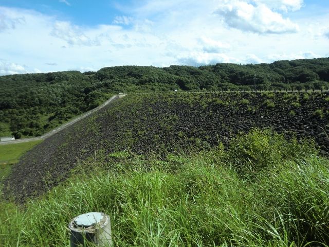 55堤体