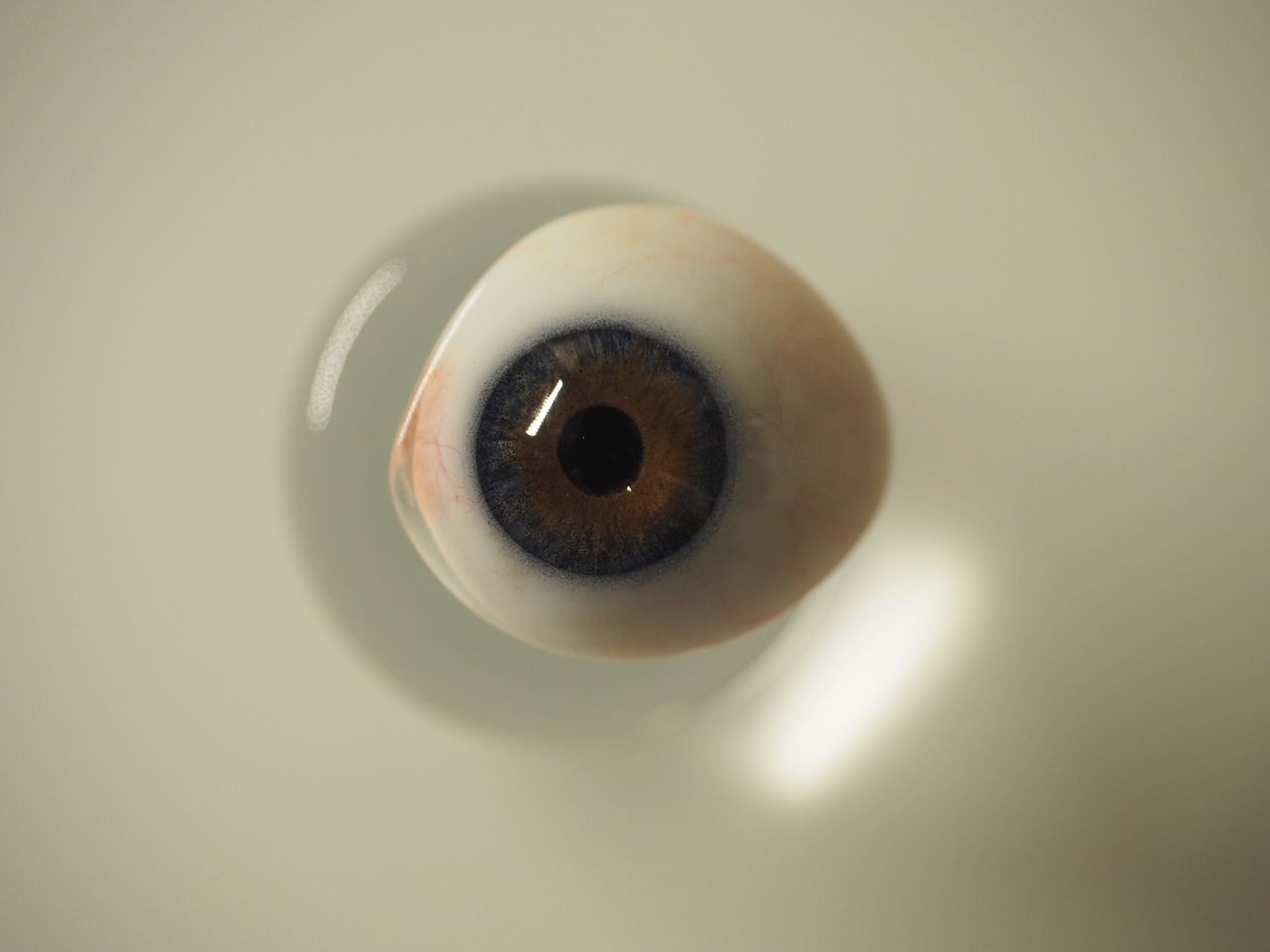 義眼でオシャレしよう! : アートアイ ・ラボ のブログ -Art Eye Lab-