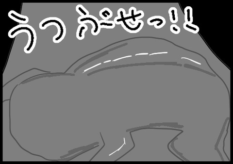 エコー１