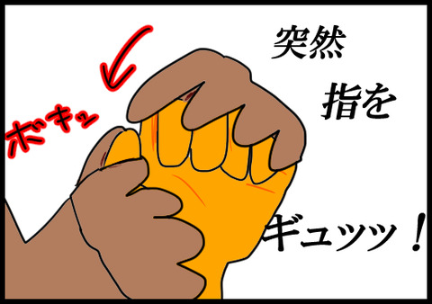 指2