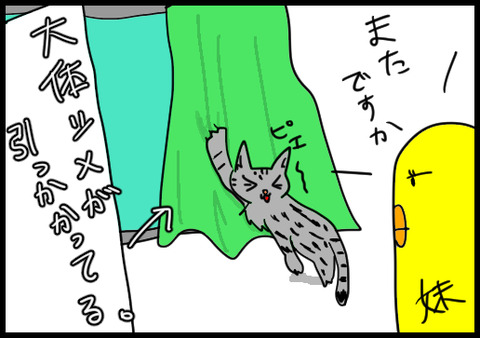 カーテン2