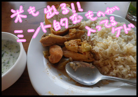 トルコ食1