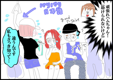 ハムTDL5